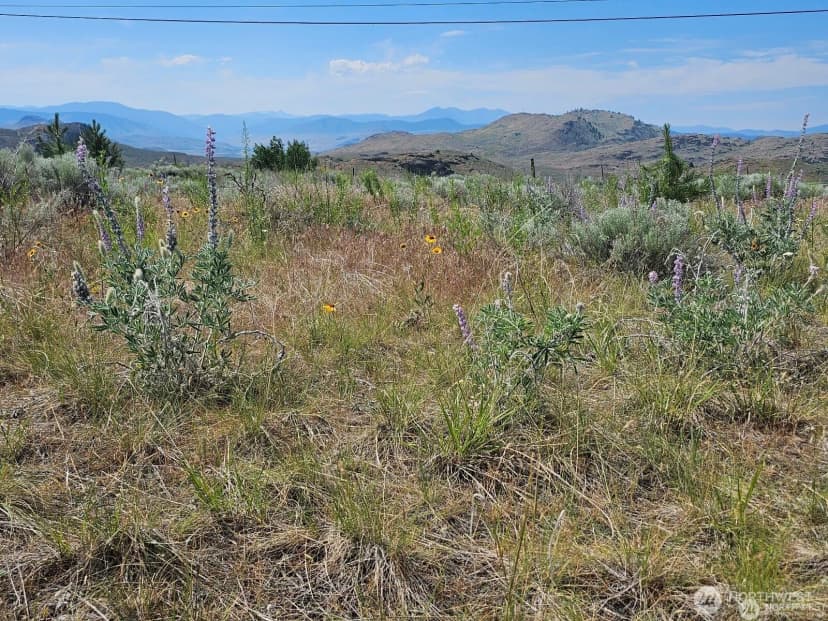 Property photo for 716 X Havillah Road, Tonasket