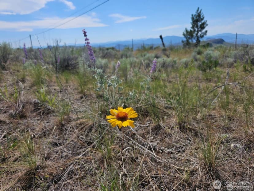 Property photo for 716 X Havillah Road, Tonasket photo 8