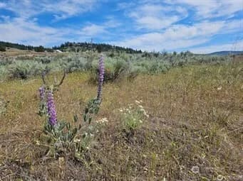 Property photo for 716 X Havillah Road, Tonasket photo 4