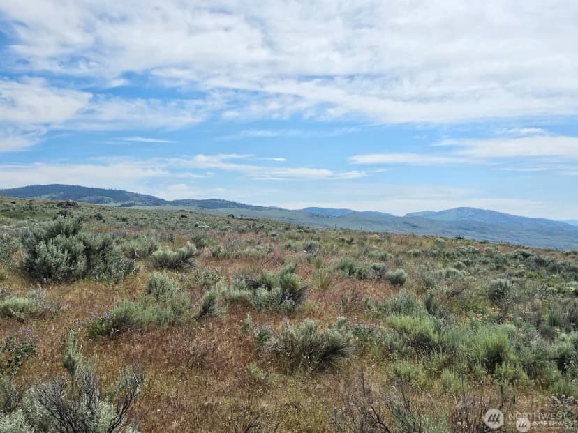 Property photo for 716 X Havillah Road, Tonasket photo 13