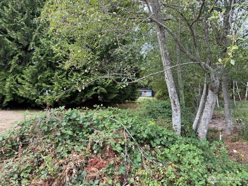 Property photo for 12528 Ne Philip Drive, Kingston photo 4