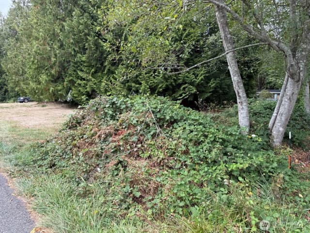 Property photo for 12528 Ne Philip Drive, Kingston photo 3