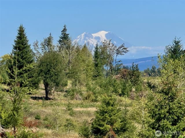 Property photo for 175 Sawall Avenue, Centralia