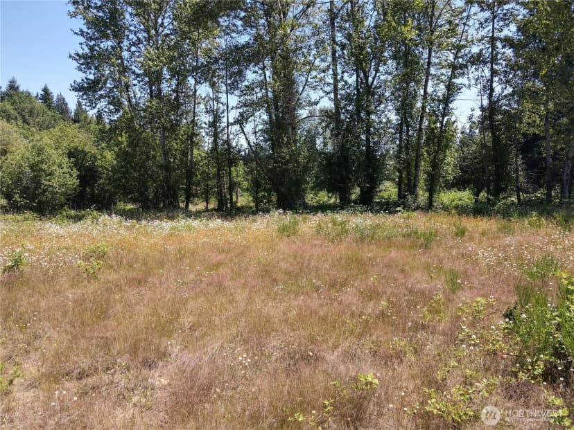 Property photo for 150 Sawall Avenue, Centralia photo 10