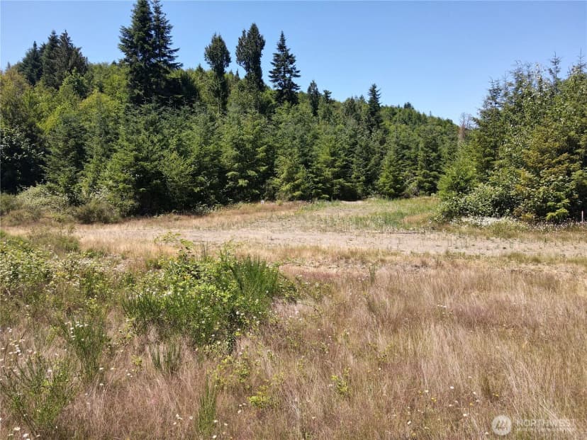 Property photo for 150 Sawall Avenue, Centralia photo 19