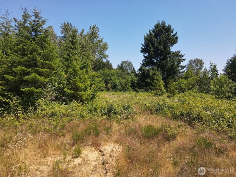 Property photo for 150 Sawall Avenue, Centralia photo 9