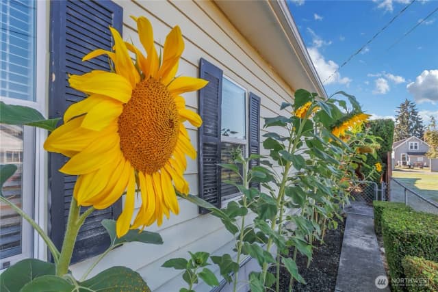 Property photo for 922 6th Avenue Sw, Puyallup photo 2