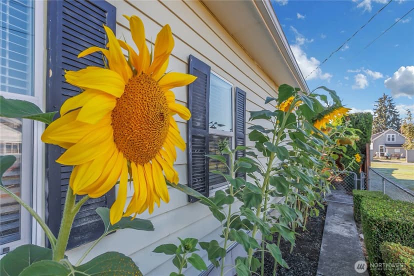 Property photo for 922 6th Avenue Sw, Puyallup photo 2
