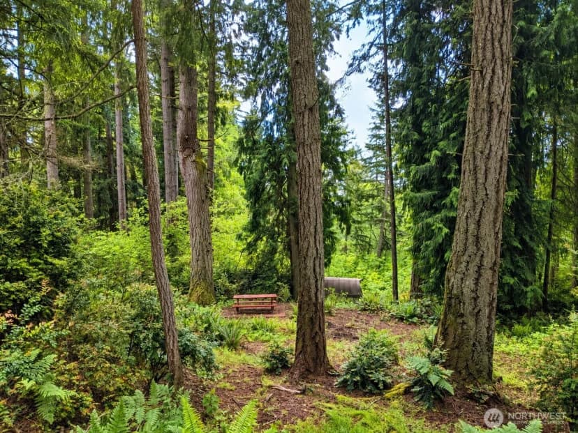 Property photo for 12204 Sound Drive, Anderson Island photo 7