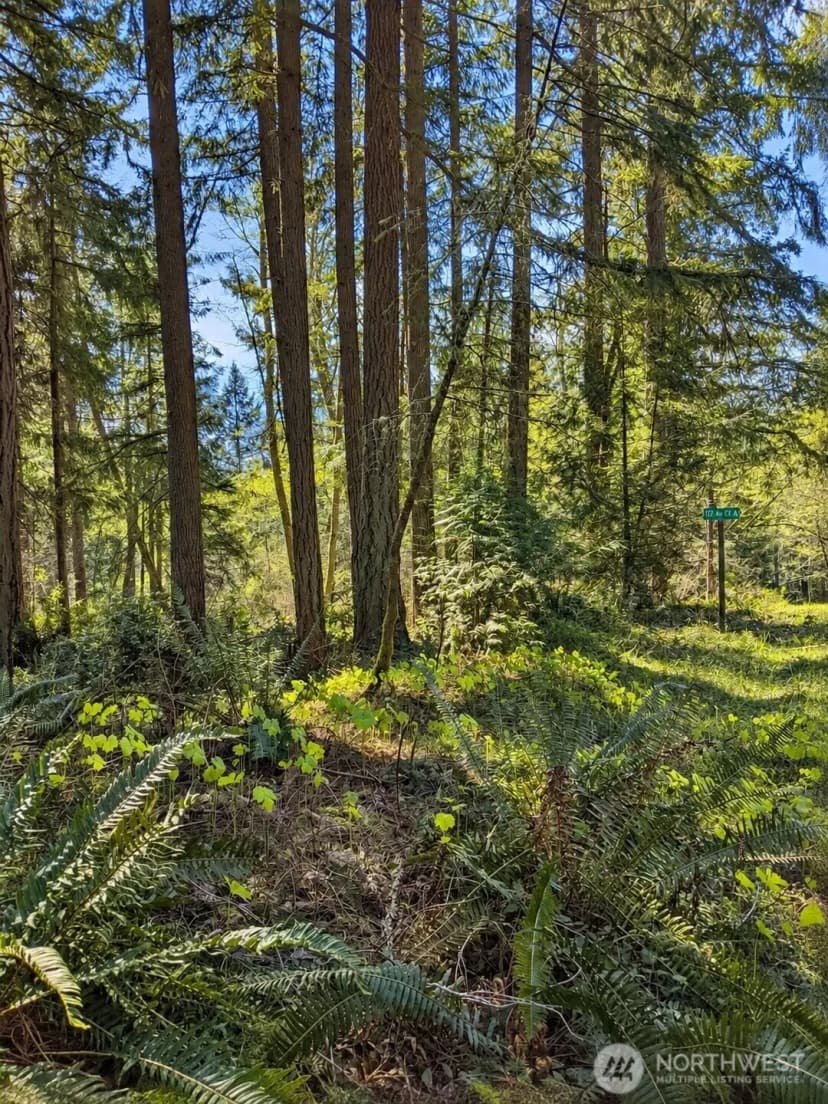 Property photo for 12204 Sound Drive, Anderson Island photo 4