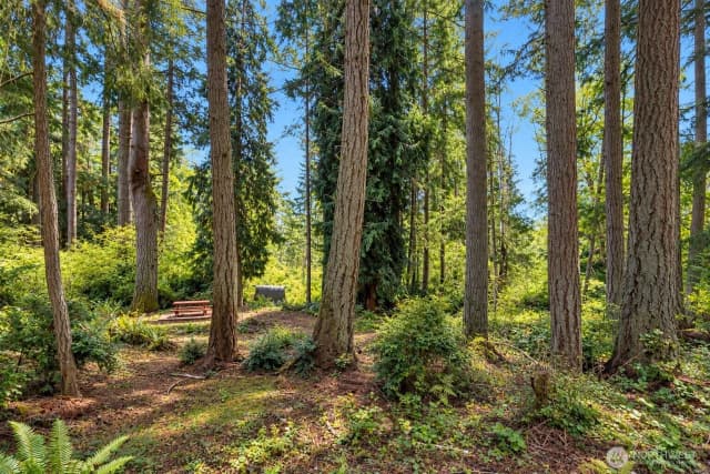 Property photo for 12204 Sound Drive, Anderson Island photo 5