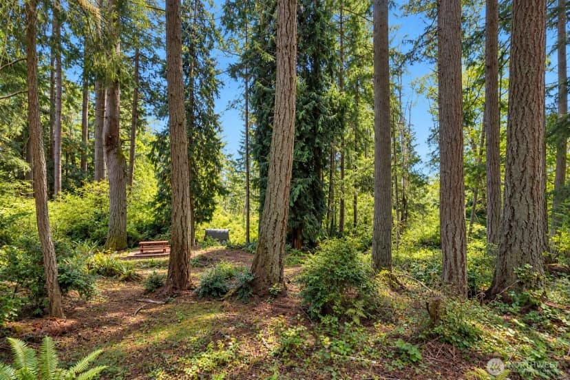 Property photo for 12204 Sound Drive, Anderson Island photo 5
