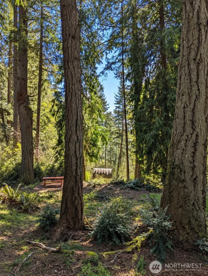 Property photo for 12204 Sound Drive, Anderson Island photo 3