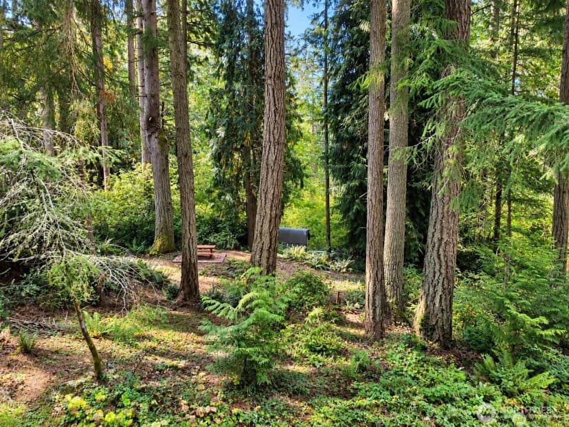 Property photo for 12204 Sound Drive, Anderson Island photo 6