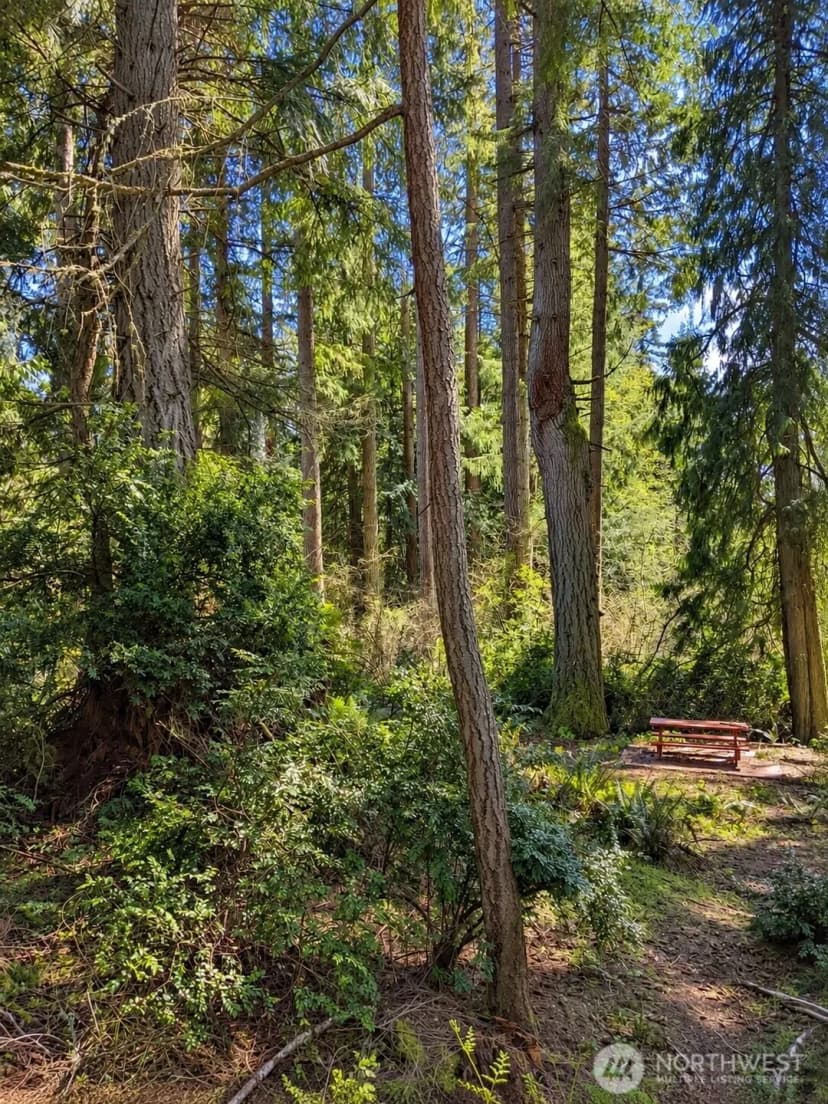 Property photo for 12204 Sound Drive, Anderson Island photo 12