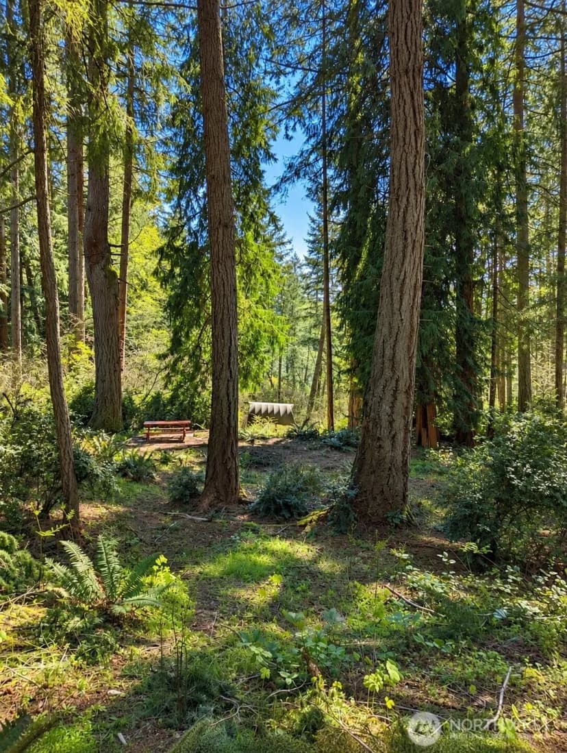 Property photo for 12204 Sound Drive, Anderson Island photo 9