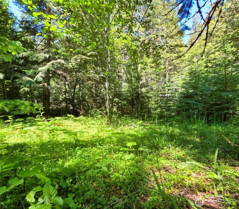 Property photo for 631 Deeter Road, Newport photo 30