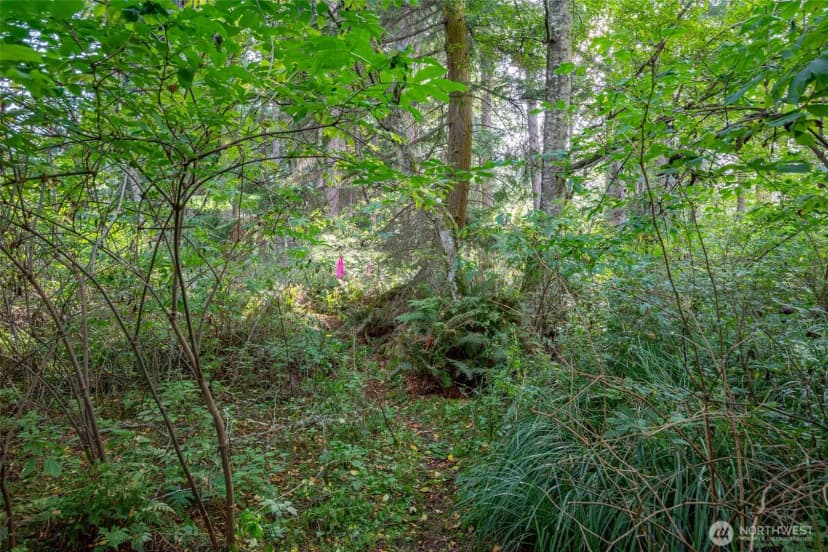 Property photo for 0 Nhn Harmony Road, Oak Harbor photo 11