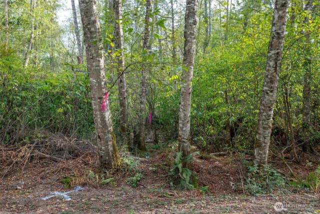 Property photo for 0 Nhn Harmony Road, Oak Harbor photo 5