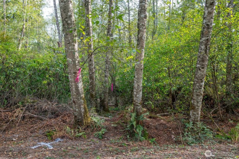 Property photo for 0 Nhn Harmony Road, Oak Harbor photo 5