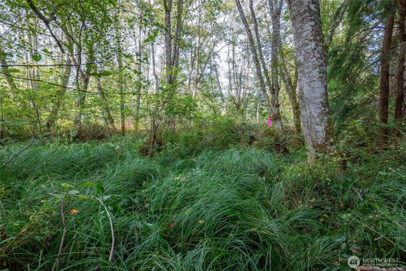 Property photo for 0 Nhn Harmony Road, Oak Harbor photo 12