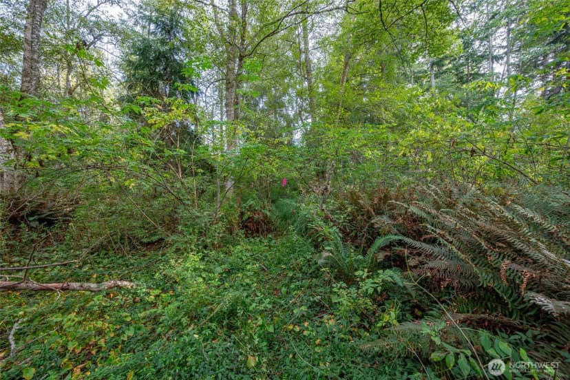 Property photo for 0 Nhn Harmony Road, Oak Harbor photo 8