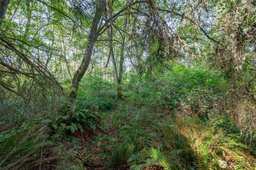 Property photo for 0 Nhn Harmony Road, Oak Harbor photo 10