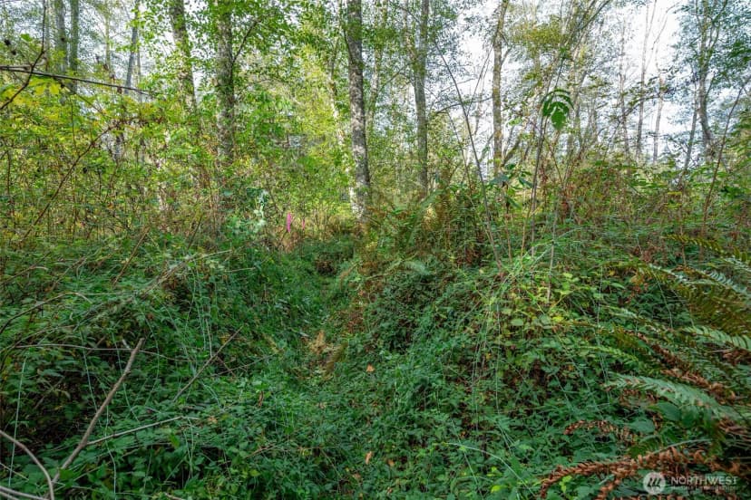 Property photo for 0 Nhn Harmony Road, Oak Harbor photo 13