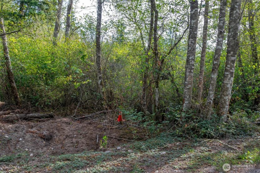 Property photo for 0 Nhn Harmony Road, Oak Harbor photo 14