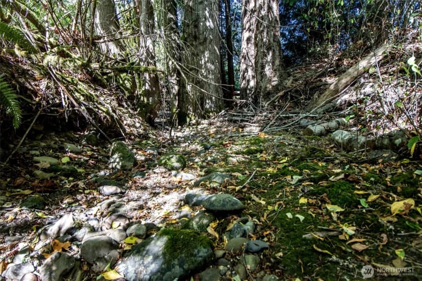 Property photo for 208 Lot B&c Laird, Port Angeles photo 19