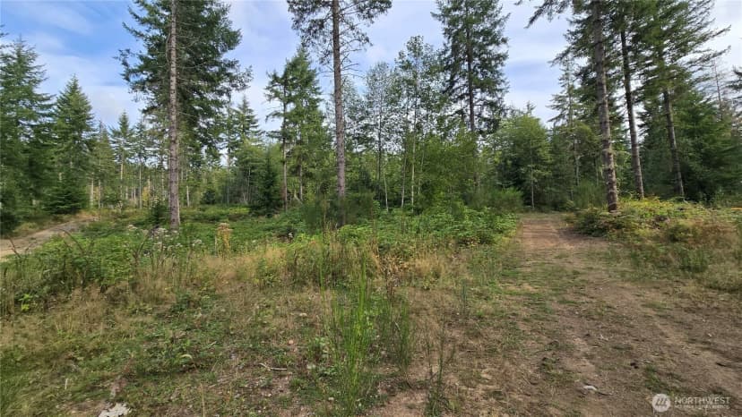 Property photo for 27009 170th Street E, Buckley photo 18