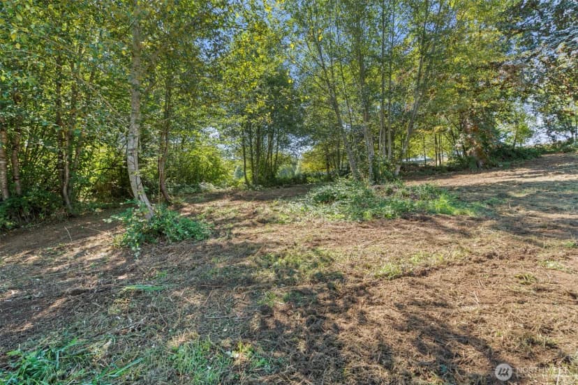 Property photo for 149 Breezy Lane, Mossyrock photo 26