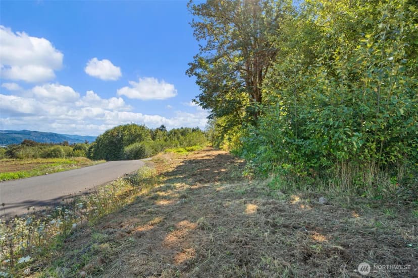 Property photo for 149 Breezy Lane, Mossyrock photo 21