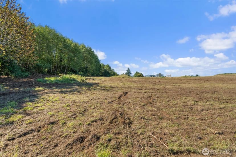 Property photo for 149 Breezy Lane, Mossyrock photo 19
