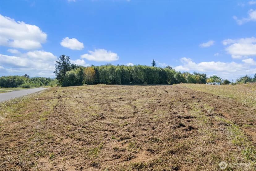 Property photo for 149 Breezy Lane, Mossyrock photo 17