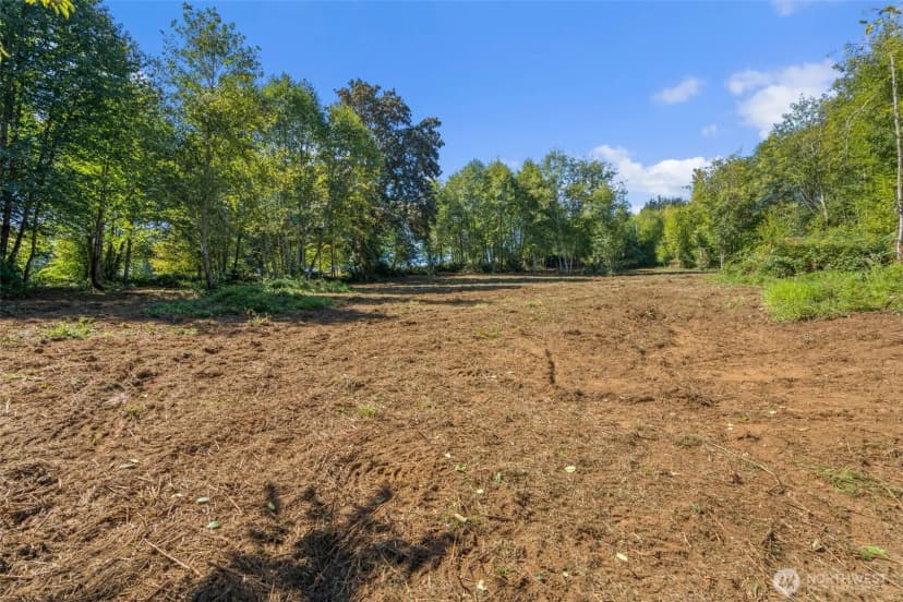 Property photo for 149 Breezy Lane, Mossyrock photo 23