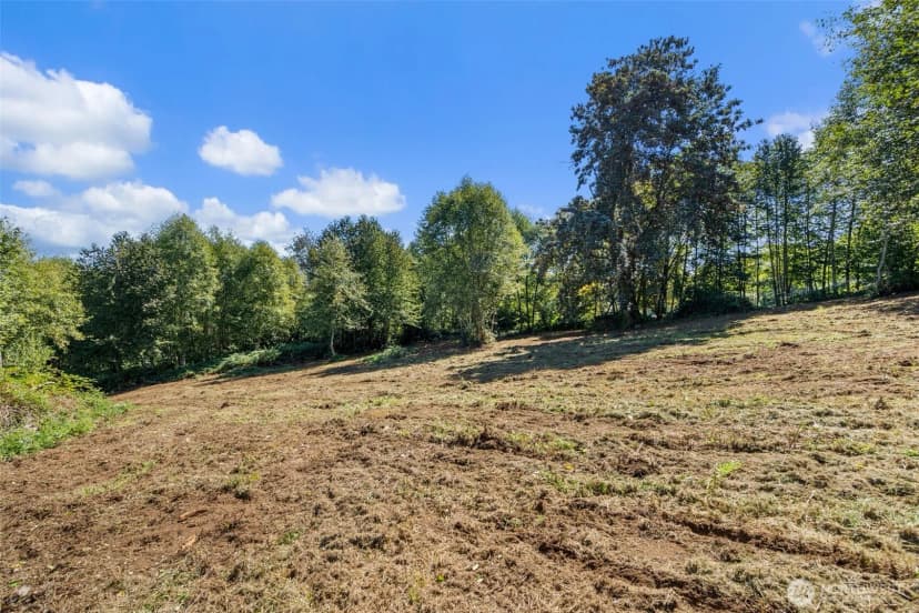 Property photo for 149 Breezy Lane, Mossyrock photo 25