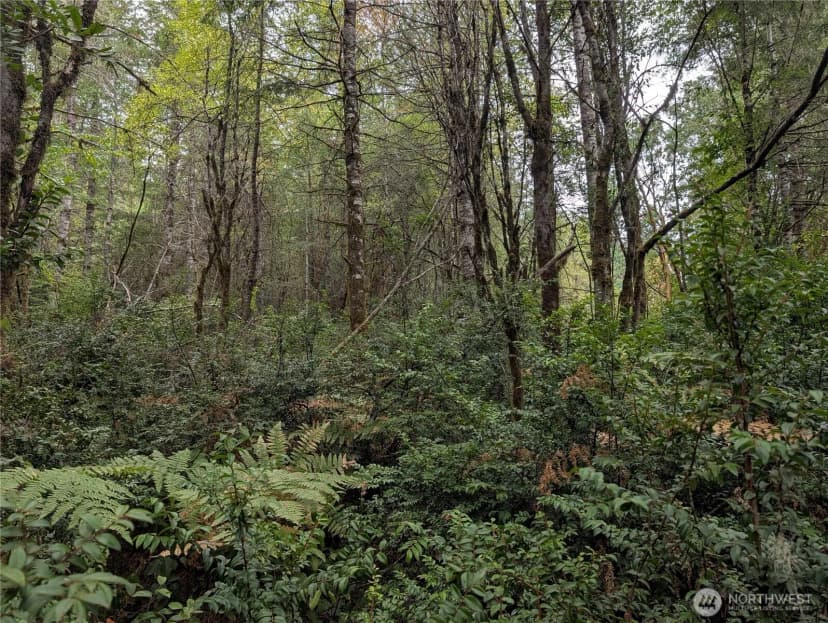 Property photo for 714 Webb Road Sw, Lakebay photo 2