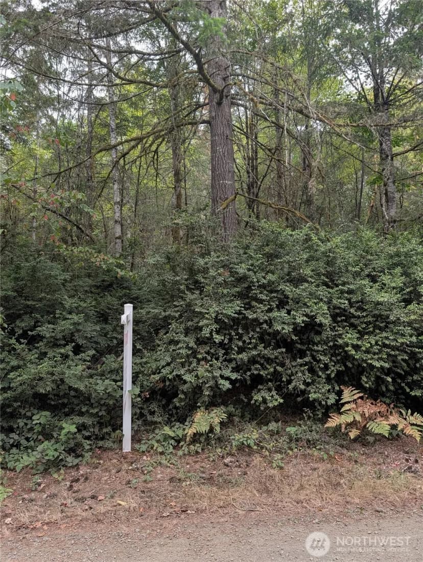 Property photo for 714 Webb Road Sw, Lakebay