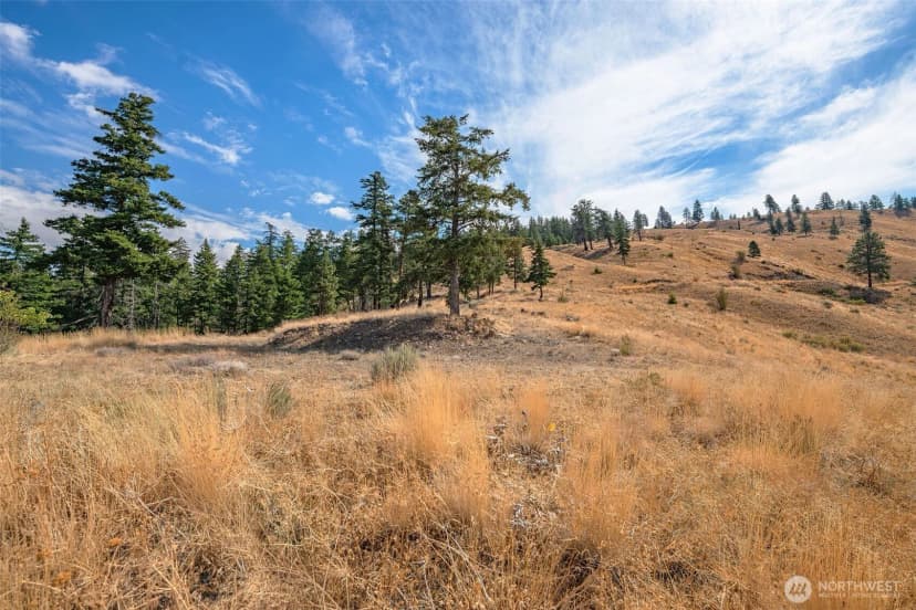 Property photo for 0 Melvin Road #lot 8, Waterville photo 10
