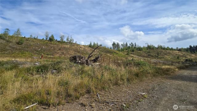 Property photo for 0 Ap Tubbs Road, Buckley photo 2