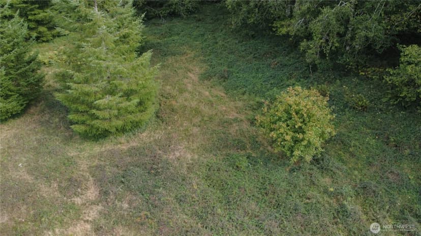 Property photo for 8741 Rose Valley, Kelso photo 21