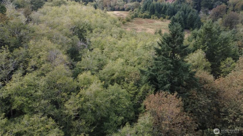 Property photo for 8741 Rose Valley, Kelso photo 17