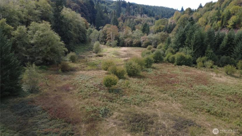 Property photo for 8741 Rose Valley, Kelso photo 19