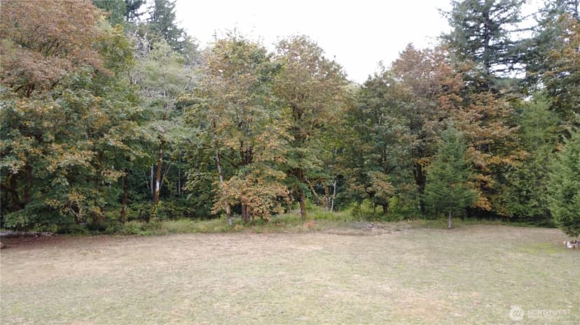 Property photo for 8741 Rose Valley, Kelso photo 5