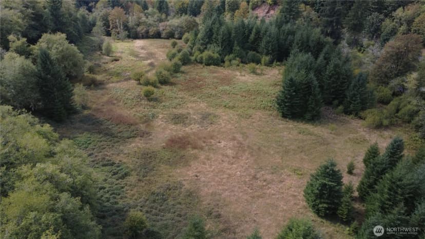Property photo for 8741 Rose Valley, Kelso photo 18