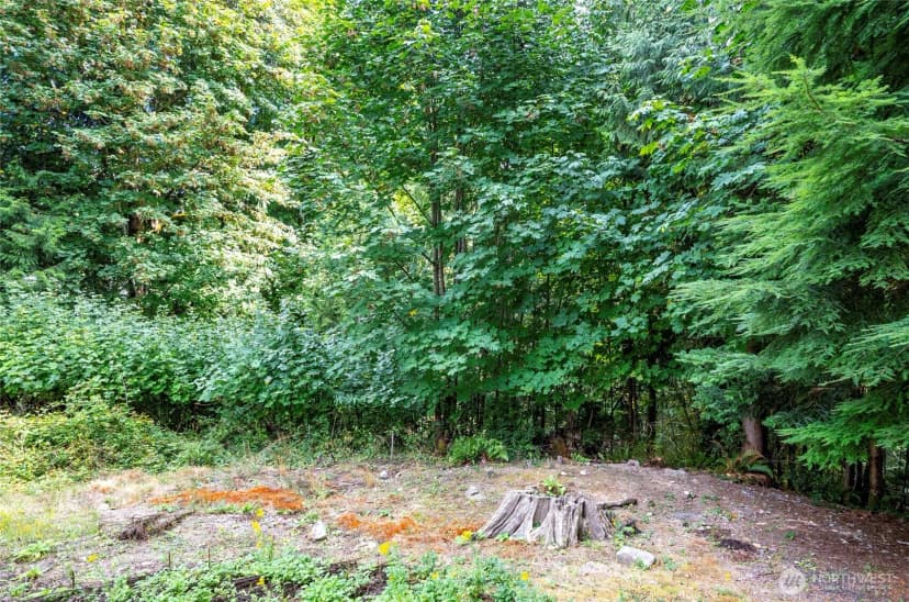 Property photo for 221 E Cougar Lane S, Shelton photo 38