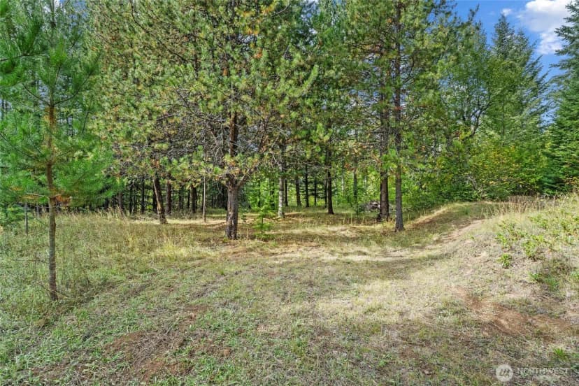 Property photo for 220 Catamount Ridge Lane, Ione photo 19