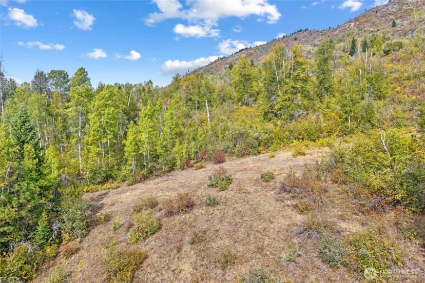 Property photo for 220 Catamount Ridge Lane, Ione photo 11