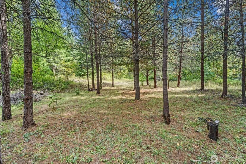 Property photo for 220 Catamount Ridge Lane, Ione photo 22